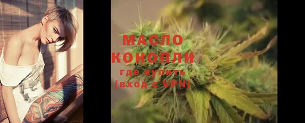 индика Абинск