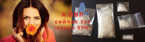 mdpv Козельск