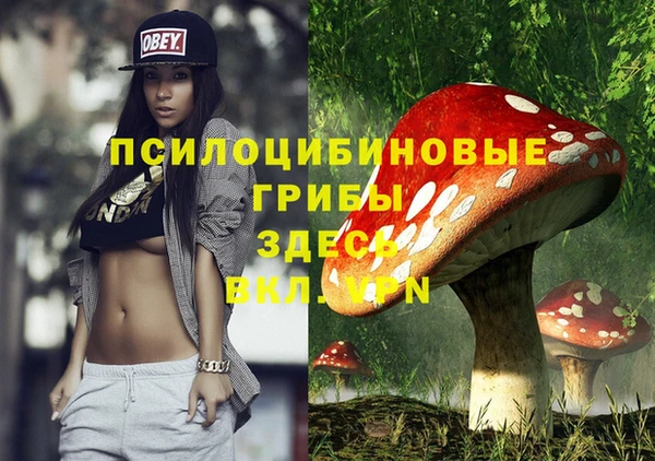 a pvp Ессентукская