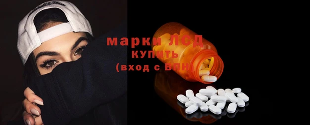 стаф Новосибирск
