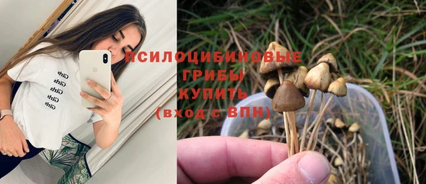 индика Абинск