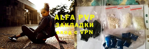 индика Абинск