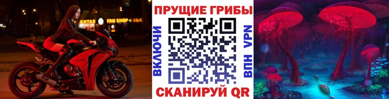 Галлюциногенные грибы MAGIC MUSHROOMS  сайты даркнета какой сайт  Фокино  где купить наркотик 